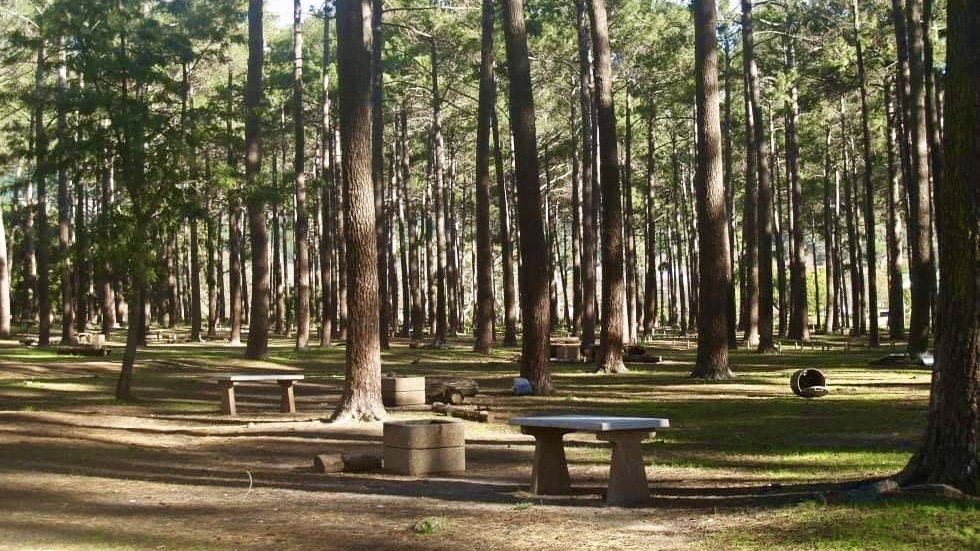 Tokai Forest picnic site temporarily closed due to water supply disruption