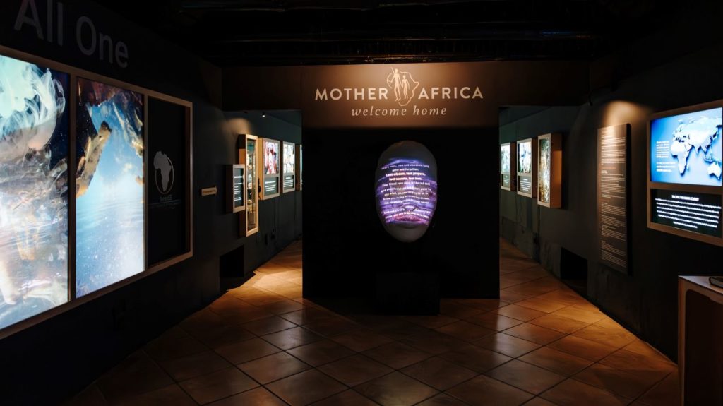 Early southern sapiens exhibition opens at De Hoop Collection