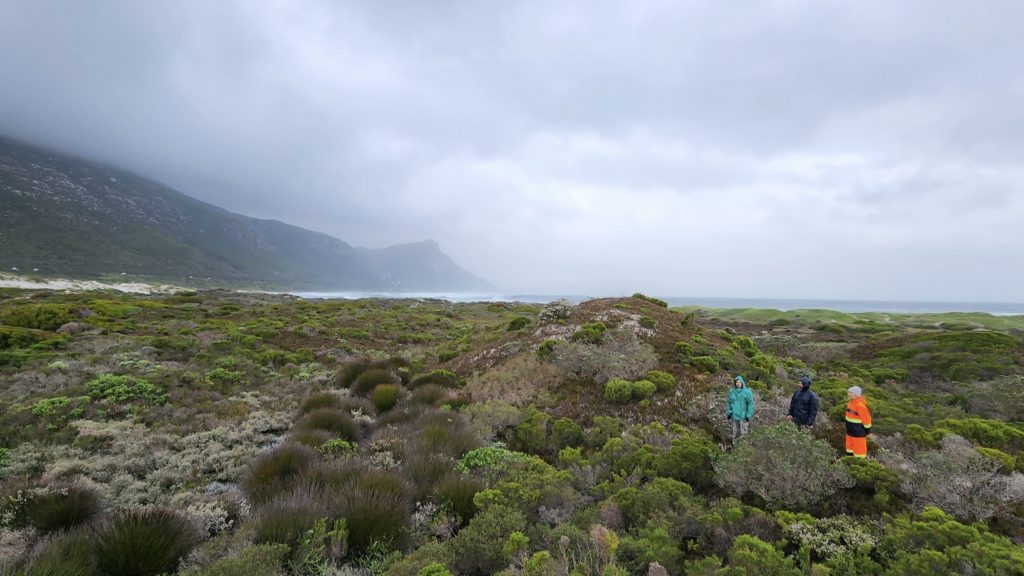 5 nature reserves to visit in and around Cape Town