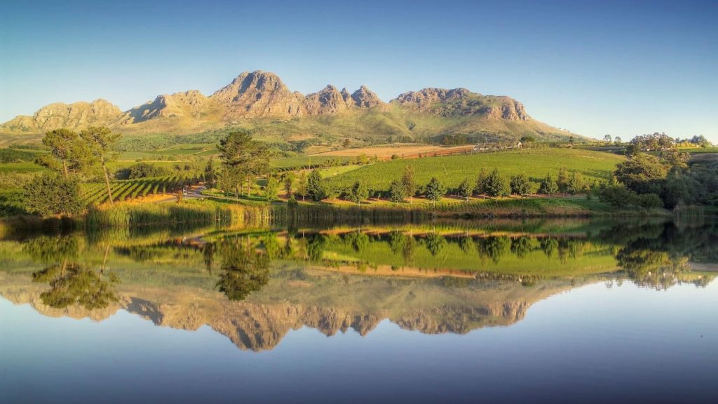 Visit Stellenbosch: A paradise for wine lovers and families alike