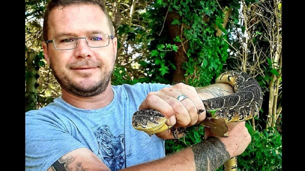 Western Cape snake handler succumbs to snouted cobra bite
