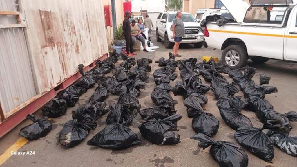 Boland K9 unit recovers R800 000 worth of abalone in Wellington