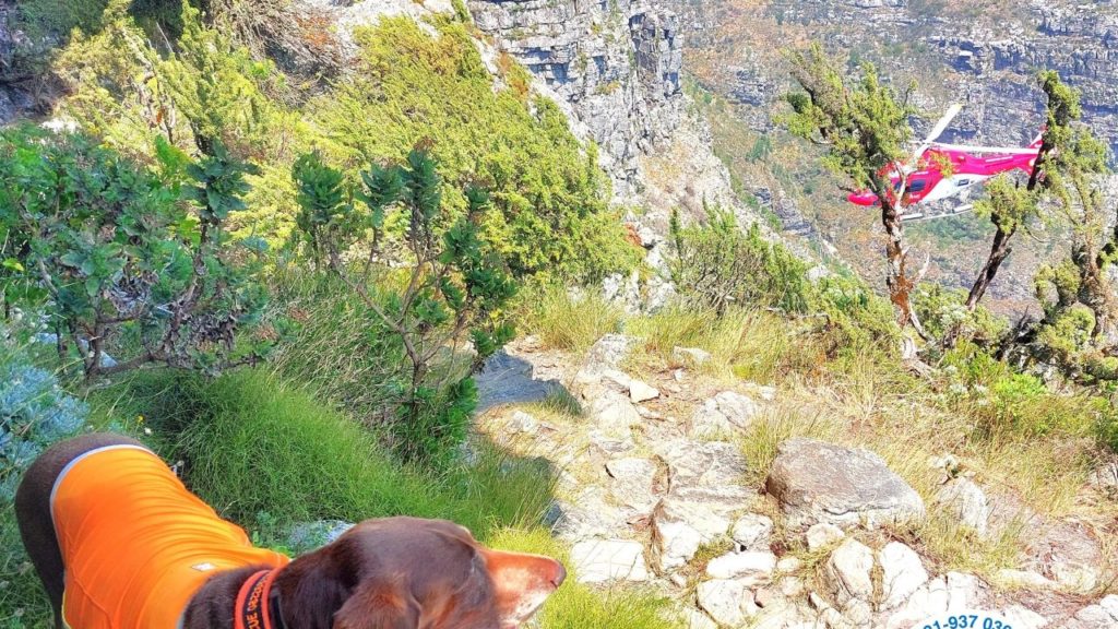 WSAR find missing hiker deceased on Table Mountain