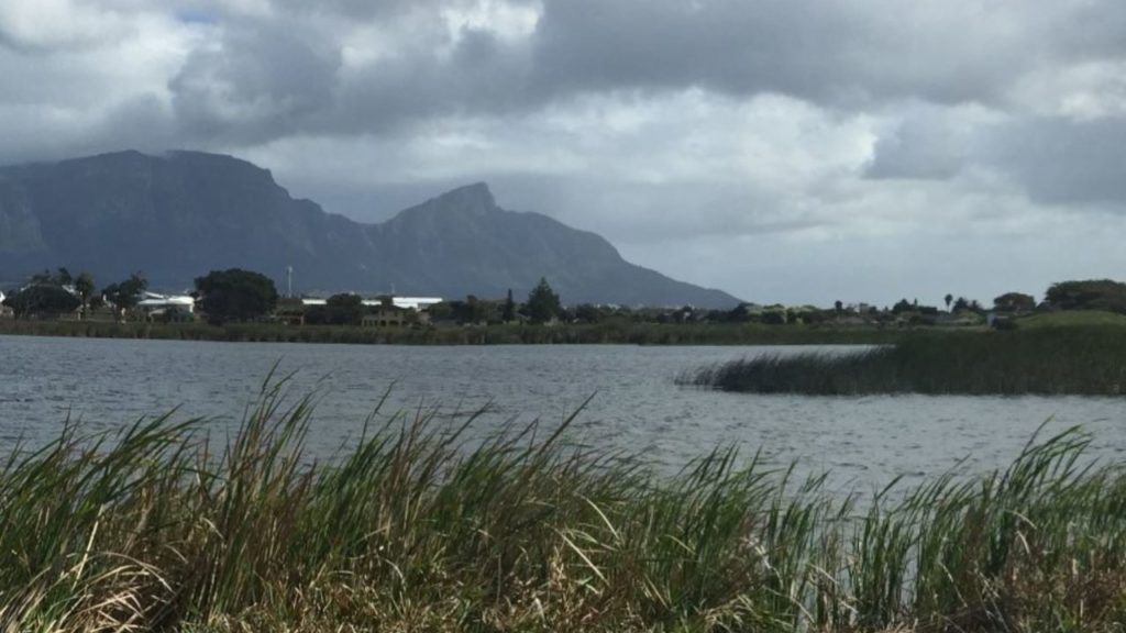 Cape Town officials concerned over recent fires at Princess Vlei