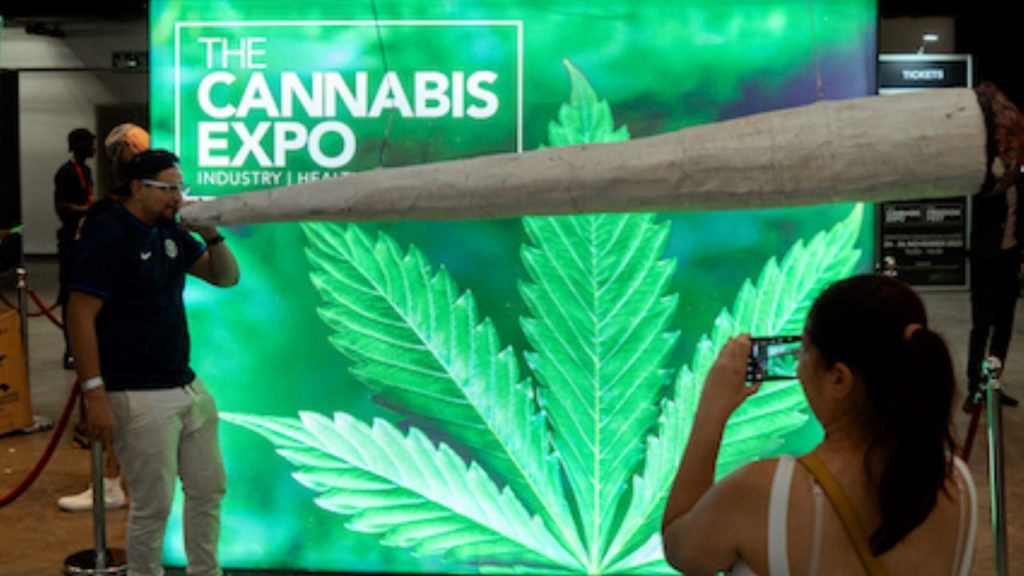 Cape Town's Cannabis Expo gets new home at CTICC