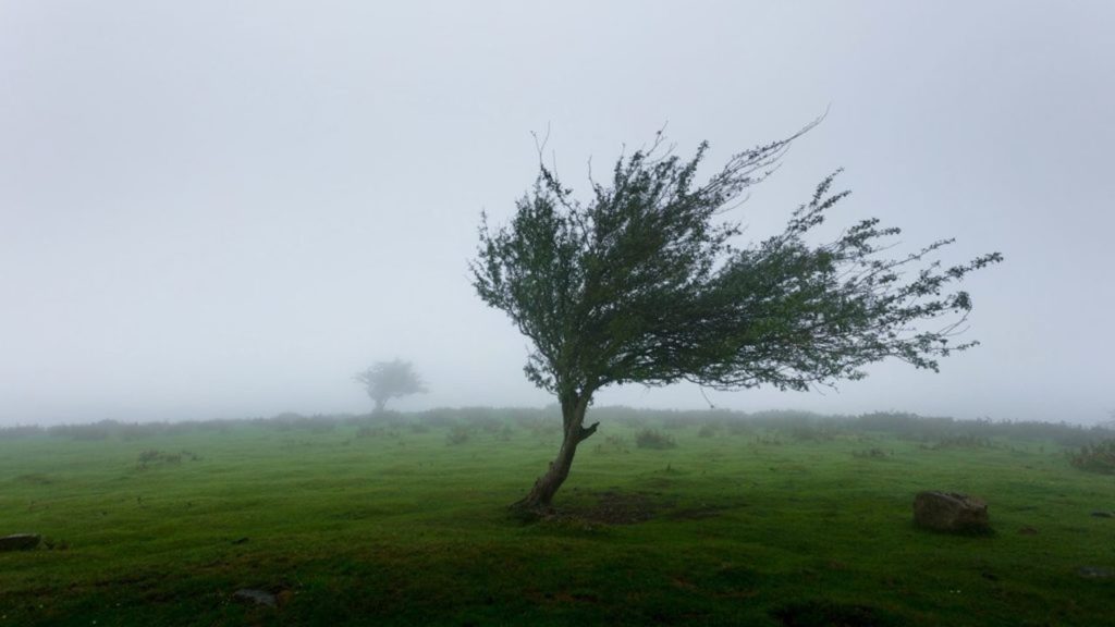 From Columbine to Agulhas: Strong winds to hit parts of the Cape