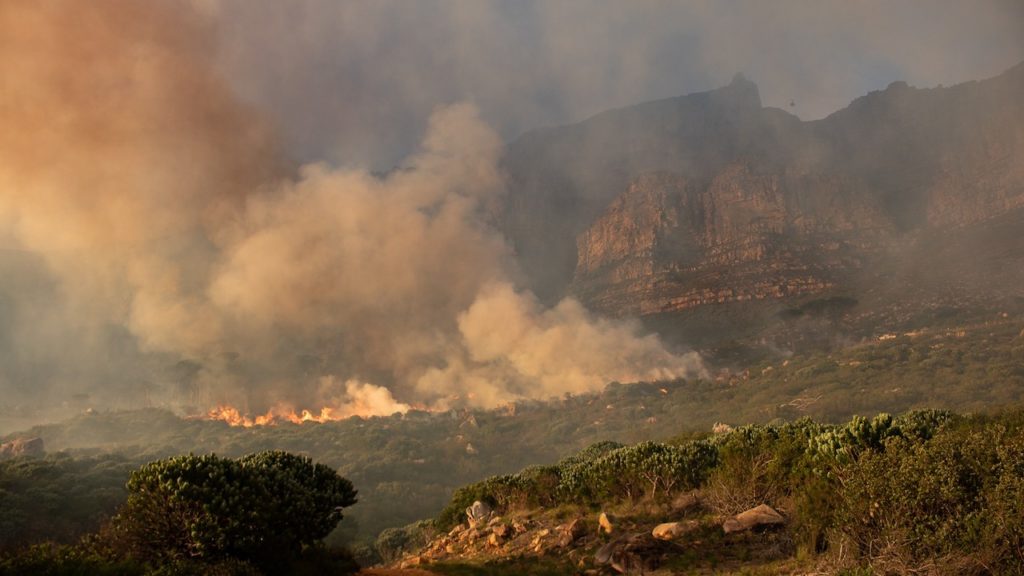 There'll be a fire on Table Mountain this week, warns SANParks
