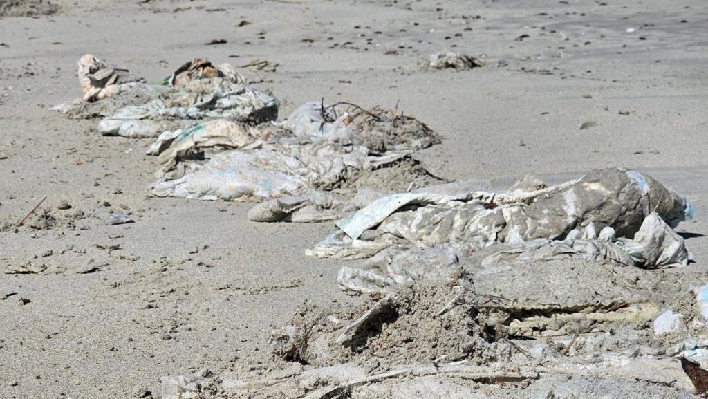 100 nappies found in routine Milnerton Lagoon beach clean-up