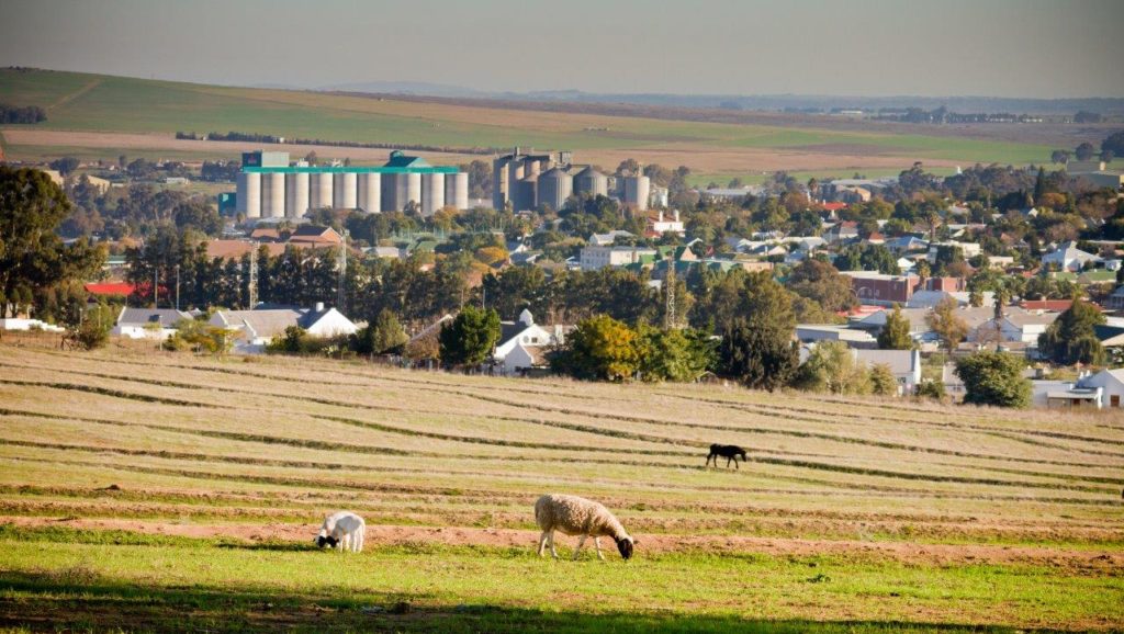 Report finds that Western Cape municipalities are SA’s top performers