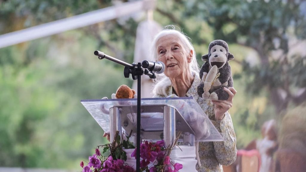 Charly's Bakery helps Dr Jane Goodall celebrate her 90th birthday