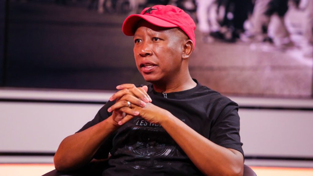 Malema hate speech case centres on Freedom of Speech and Equality Act