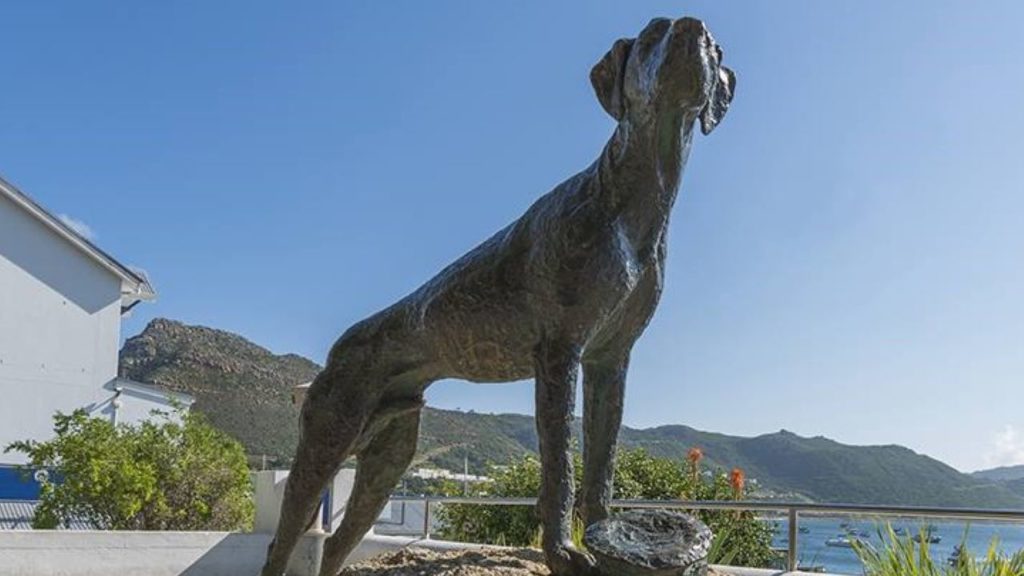Cape Town pays tribute to Just Nuisance, world's first naval dog