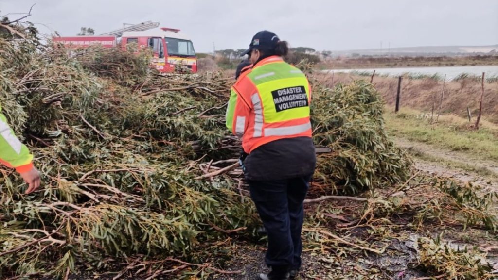 Father of four tragically killed by falling tree in Western Cape storm
