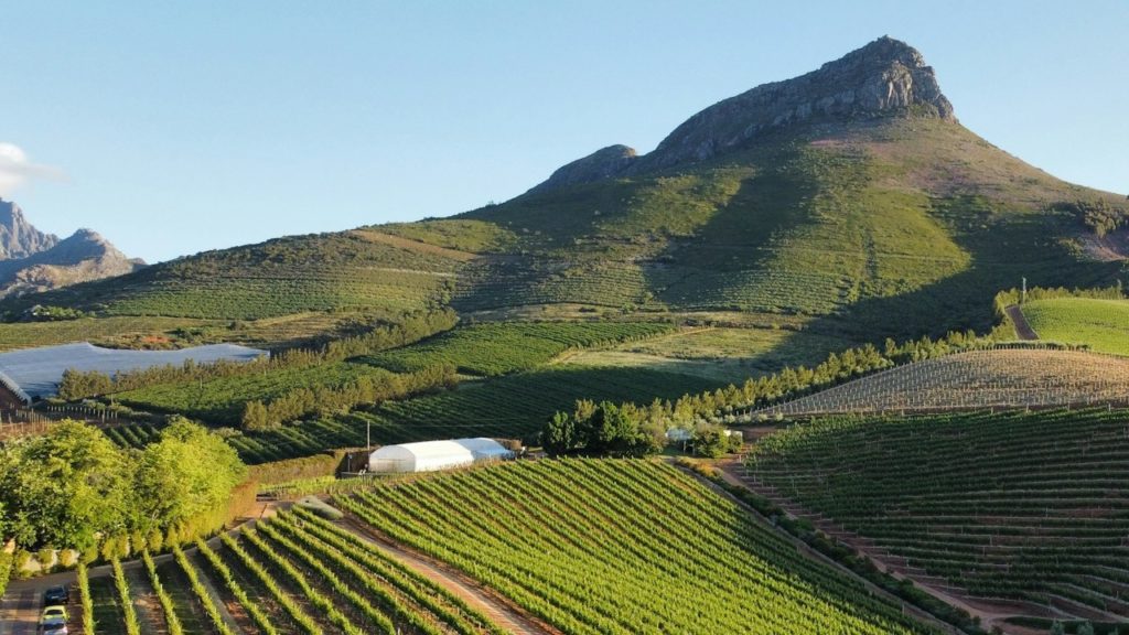 Stellenbosch stays: 3 getaway specials for a winelands escape