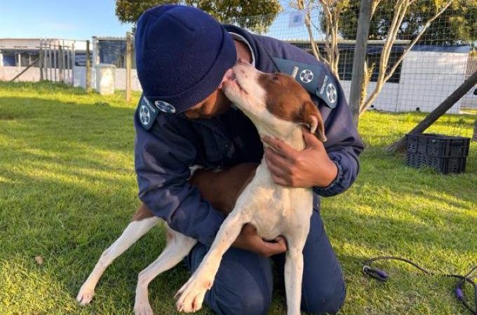 Cape of Good Hope SPCA overwhelmed with donations