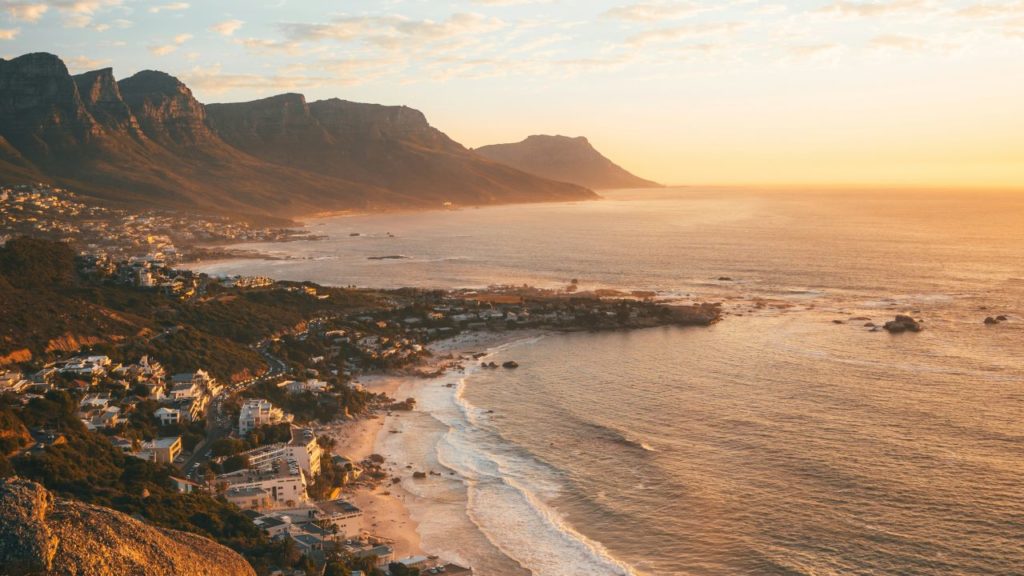 It’s time to explore Cape Town again with the City Nature Challenge