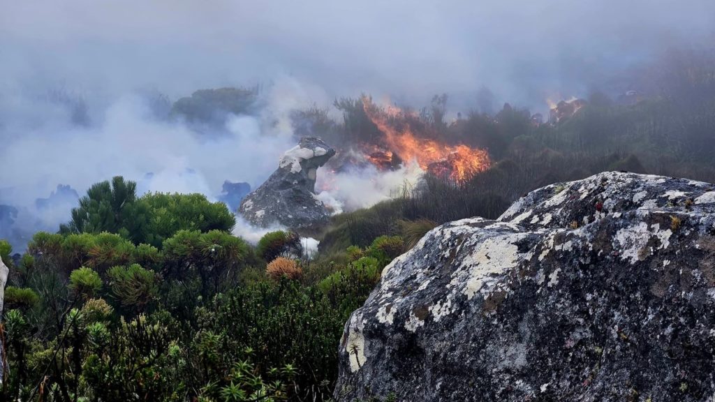 Skeleton Gorge fire: SANParks urges caution as some hiking trails reopen