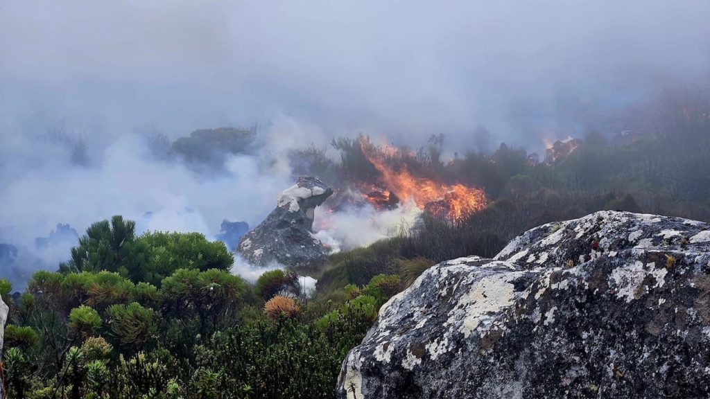 Western Cape battles over 9500 fires, 135 000 hectares scorched