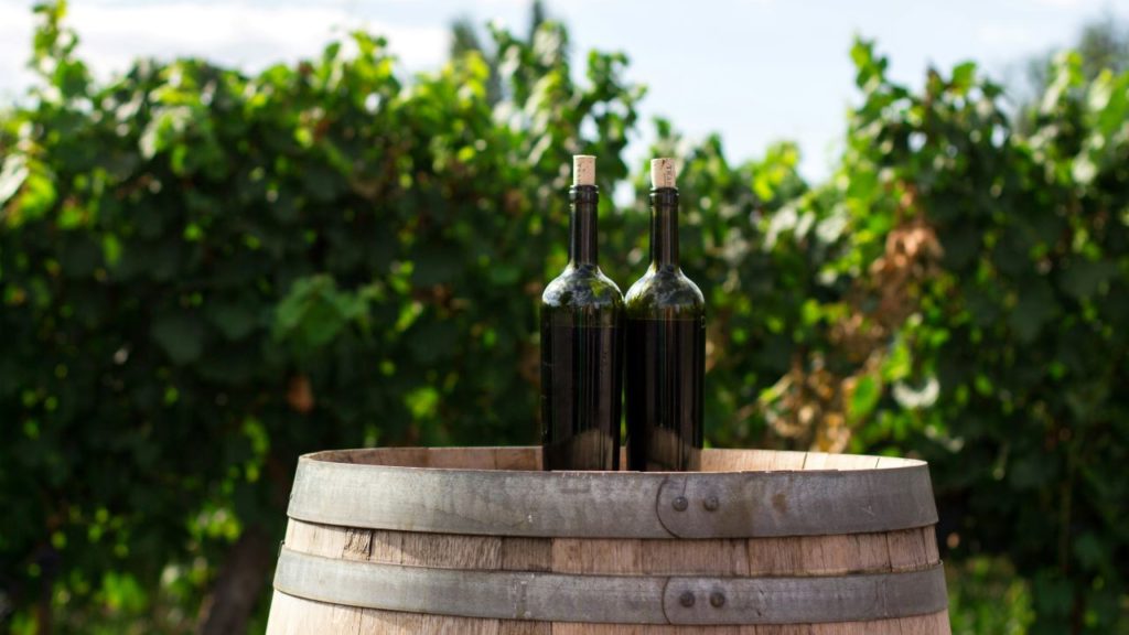 Wine tourism conference to showcase SA's surging industry success