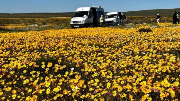 West Coast Flower Tour