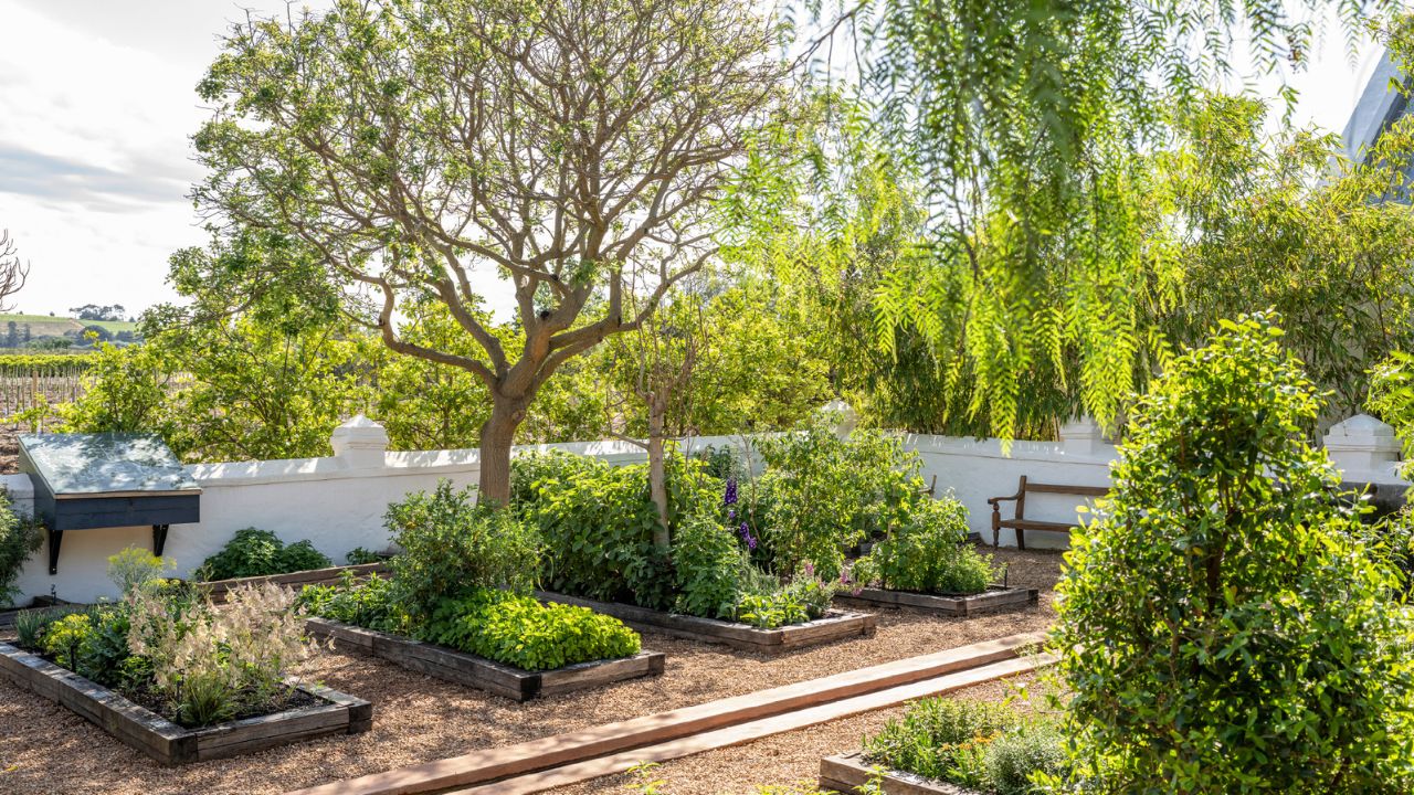 Garden Day turns 10: South Africa in bloom