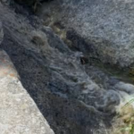 Sewage overflow disrupts Llandudno Beach, raising public health concerns