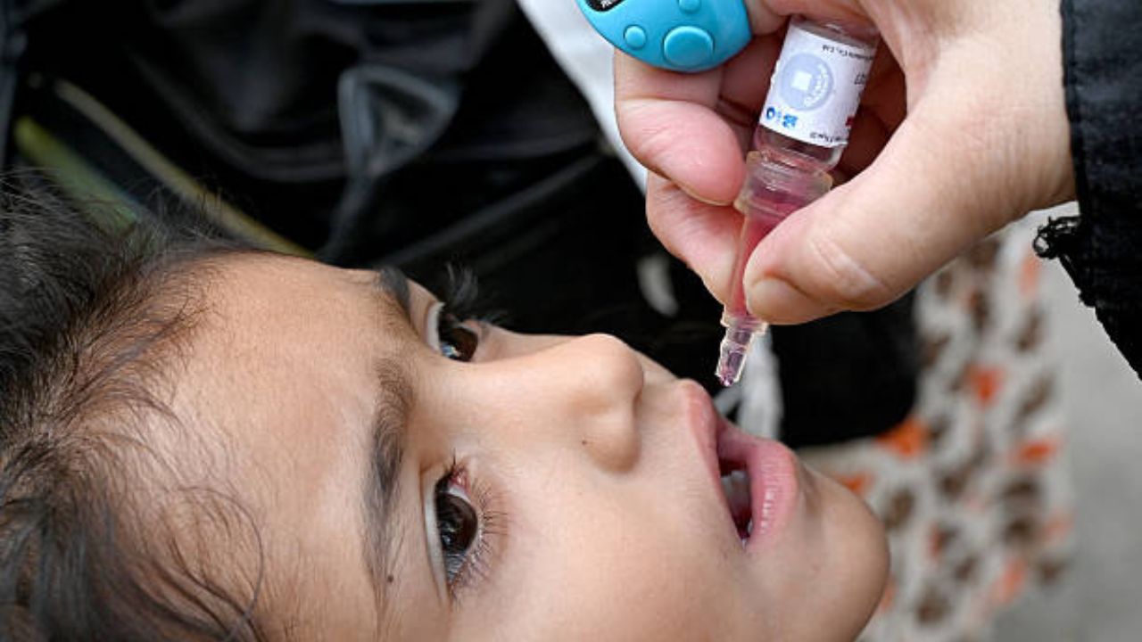 Polio-related virus strains detected in Cape Town wastewater