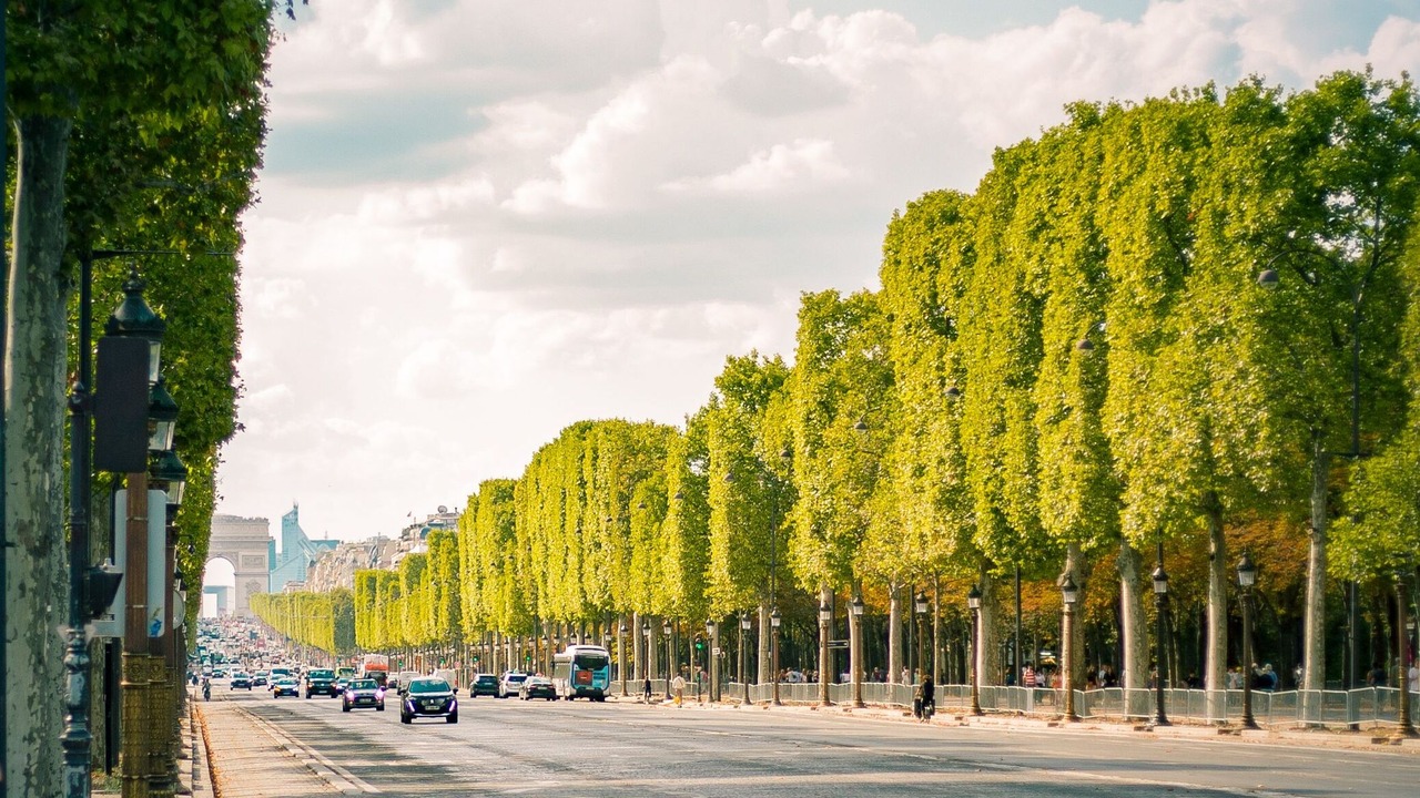 France’s deadly June heatwave linked to over 2 000 excess deaths