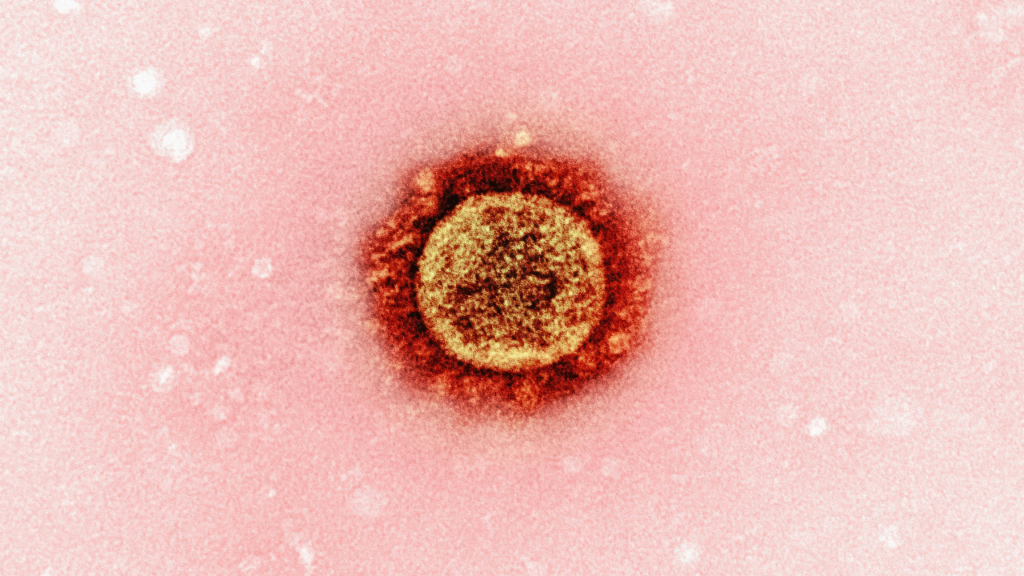 Personalised cancer vaccine cuts melanoma recurrence risk by 42%